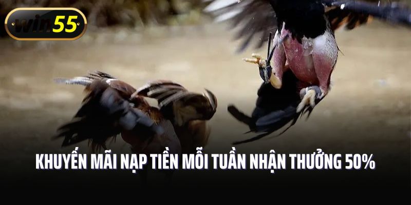 Khuyến mãi nạp tiền mỗi tuần nhận thưởng 50%