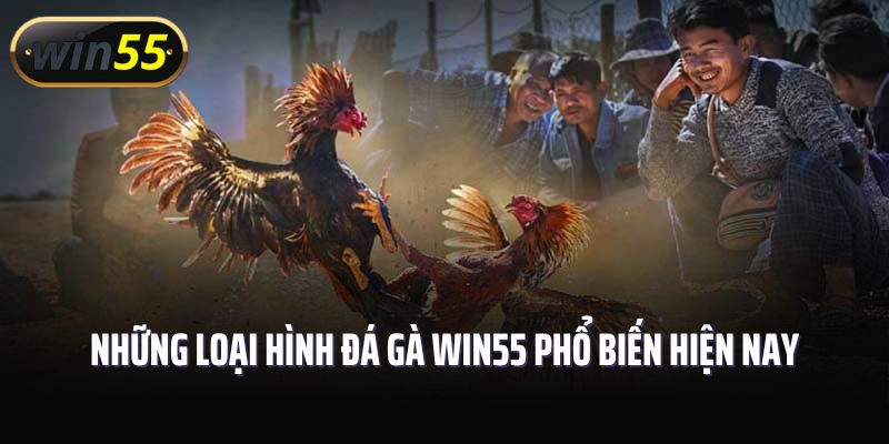 Những loại hình đá gà Win55 phổ biến hiện nay